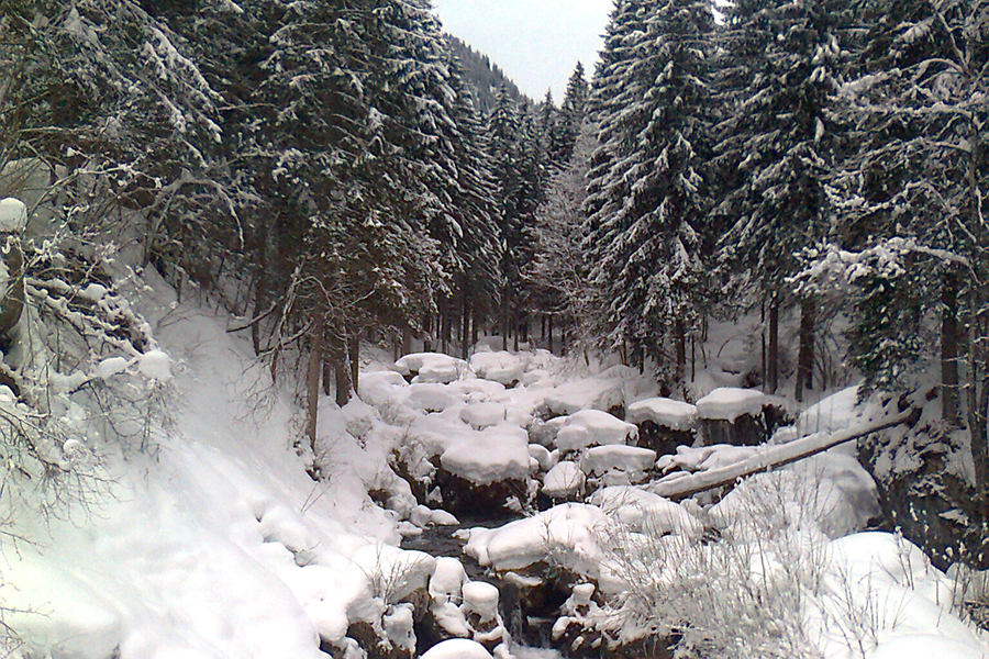 Il fiume Pettorina - Dolomiti