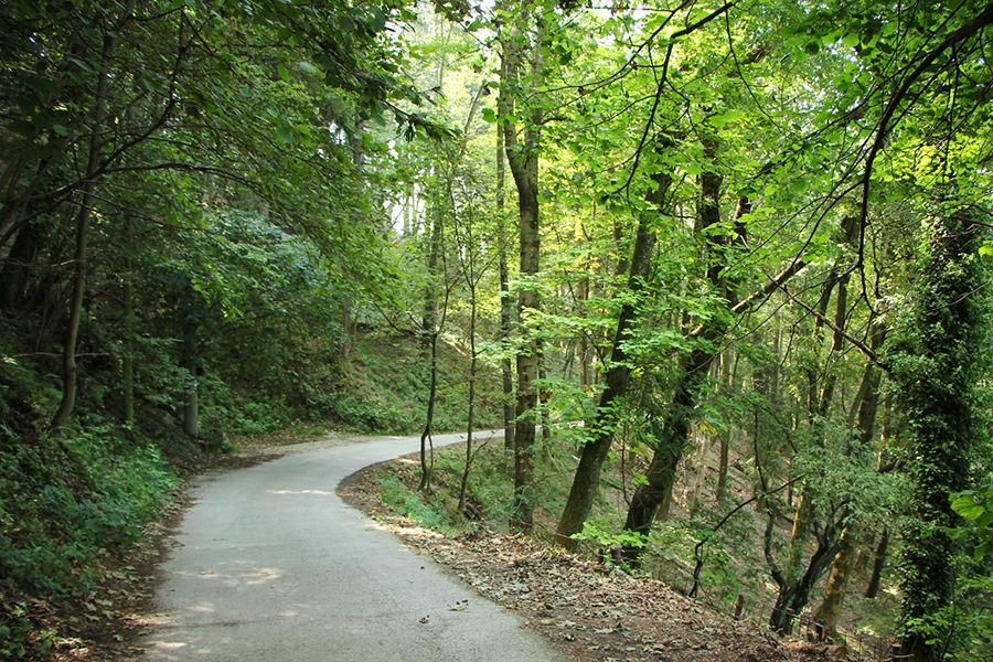 I Migliori 4 trekking sul lago di Como Elbec