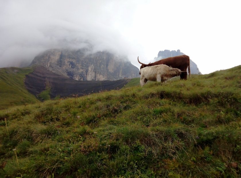 I 3 migliori sentieri di trekking in Val Gardena: scopri i percorsi più belli