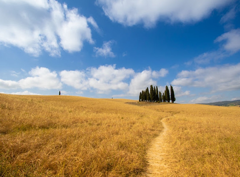 Trekking in Val d'Orcia: paesaggi unici e borghi storici